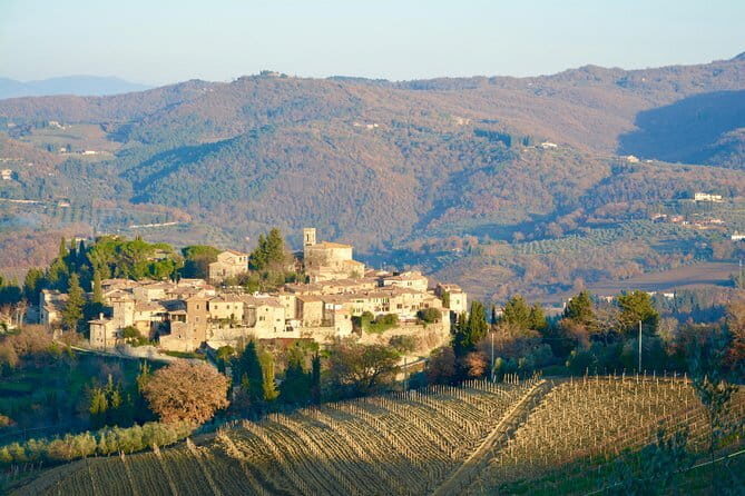 Private Tour: Chianti Region Tour by Minivan - Exploring the Chianti Region with a Private Minivan