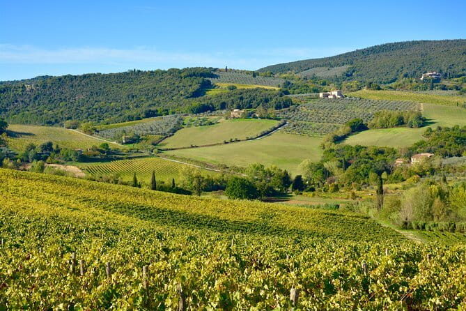 Private Tour: Chianti Region Tour by Minivan - Hidden Village Visits and Personalization