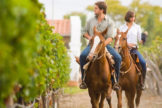 Private Tour: Chianti Region Tour by Minivan - The Wineries and Views: What Travelers Say