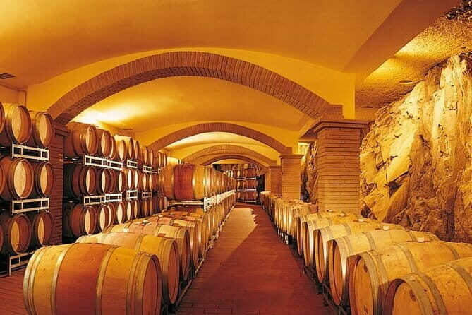 Private Tour: Chianti Winery, Montefioralle, and Greve in Chianti - Who Would Love This Tour?