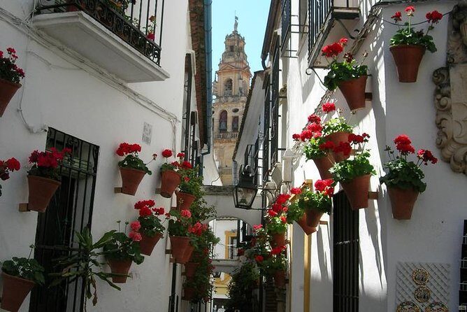 Private Tour: Cordoba Walking Tour with Skip-the-line Tickets - The Experience Beyond the Sites