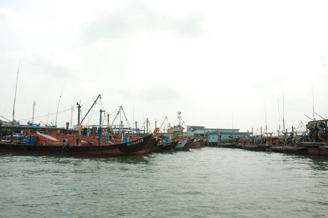 Private Tour: Crab Island Sightseeing Boat Ride and Seafood Lunch - Final Thoughts: Is This Tour Right for You?