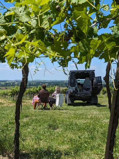 Private tour Day in the heart of the Cognac vineyards - Key Points