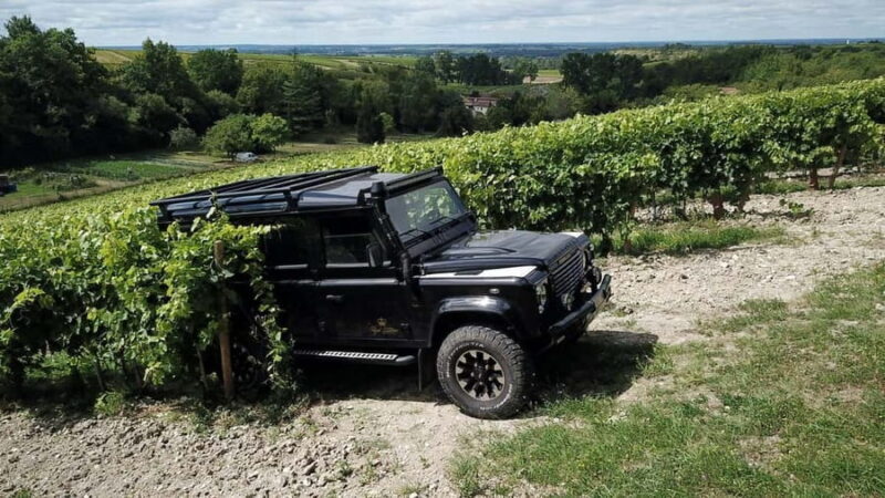 Private tour Day in the heart of the Cognac vineyards - The Sum Up