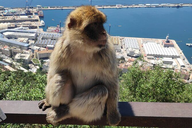 Private Tour: Day through Gibraltar and Morocco, Tangier from Seville - Who Will Love This Tour?