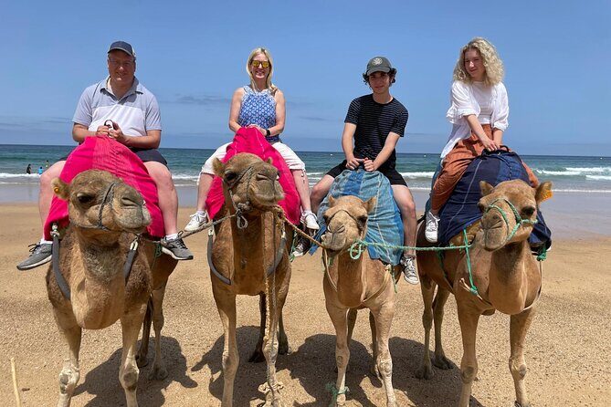 Private Tour: Day through Gibraltar and Morocco, Tangier from Seville - FAQ