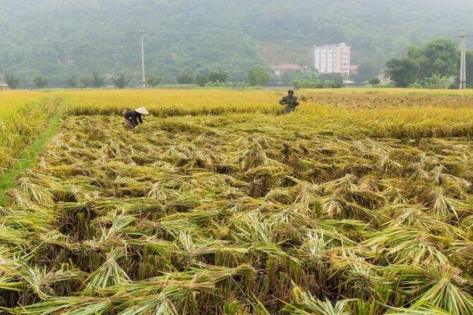 Private Tour: Day Tour of Mai Chau from Hanoi - Detailed Breakdown of the Itinerary