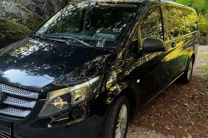 Private Tour DE Lisbon to the Algarve with City Stop - Who This Tour Is Perfect For