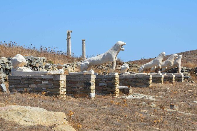 Private Tour: Delos Day Trip from Mykonos - Who Should Book This Tour?