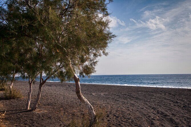 Private Tour: Discover South of Santorini - Practical Details and Considerations