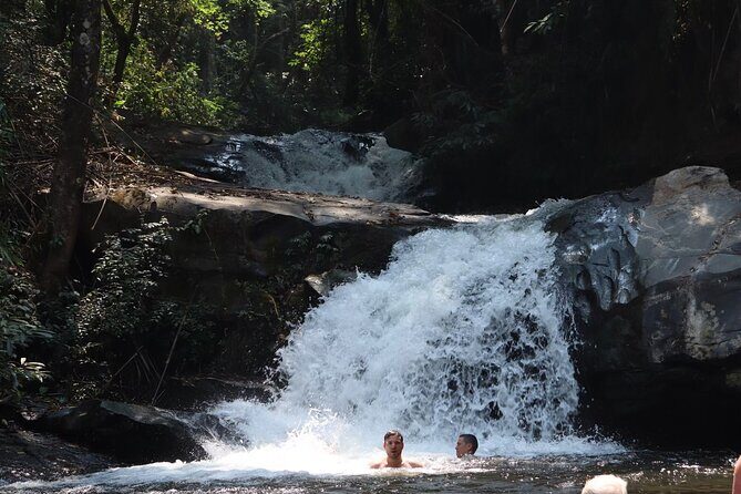 Private Tour Doi Inthanon And Trekking Nature Trail, Chiang Mai - The Authentic Experience: The Small Details That Matter