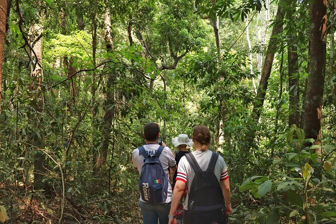 Private Tour Doi Inthanon And Trekking Nature Trail, Chiang Mai - The Sum Up: Who Is This Tour Best For?