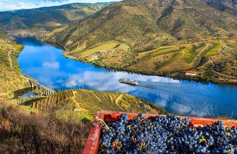 Private Tour: Douro Valley Wine and Food from Oporto - The Journey Begins: From Porto to the Douro Valley