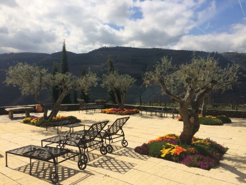 Private Tour: Douro Valley Wine and Food from Oporto - Lunch: Savoring Regional Flavors