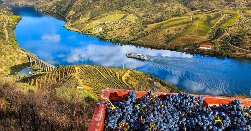 Private Tour: Douro Valley Wine and Food from Oporto - Returning to Porto