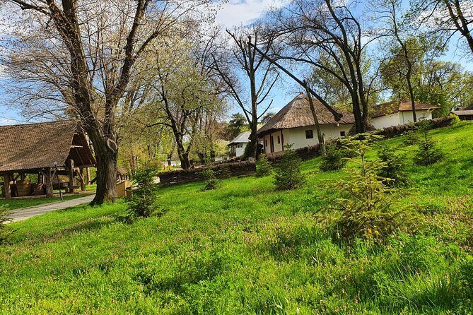 Private Tour Dracula Grave, Ceauescu Mansion and Village Museum - A Deep Dive into the Tour Experience