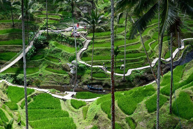 Private Tour : East Bali Highlights with Giant Swing - Who Will Love This Tour?