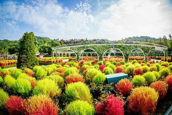 Private Tour Everland Theme Park Full Day from Seoul - Overview of the Private Everland Full Day Tour from Seoul