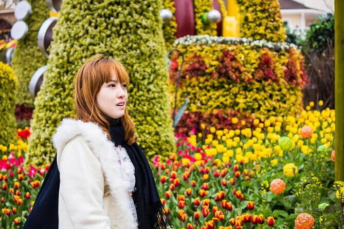 Private Tour Everland Theme Park Full Day from Seoul - Key Points