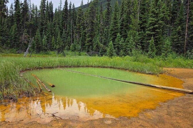 Private Tour Experience at Radium Hot Springs and Kootenay Park - FAQ