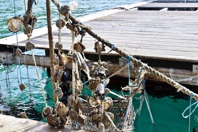 Private Tour Experience Dubrovnik North-West Countryside & Riviera - Exploring Dubrovnik’s North-West Countryside & Riviera