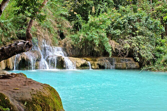 Private Tour Explore Local Market & Kuang Si Waterfall - The Day in Detail: What to Expect