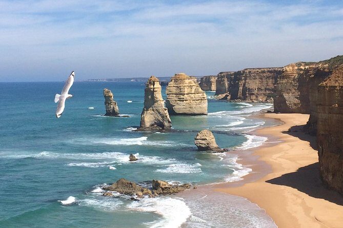 [PRIVATE TOUR] Express Great Ocean Road | Day Trip - Exploring the [PRIVATE TOUR] Express Great Ocean Road | Day Trip