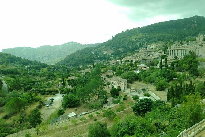 Private tour for my family from a cruise - An In-Depth Look at the Mallorca Private Tour