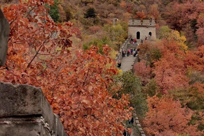 Private Tour: Forbidden City and Mutianyu Great Wall with Cable Car or Toboggan - What We Loved About This Tour
