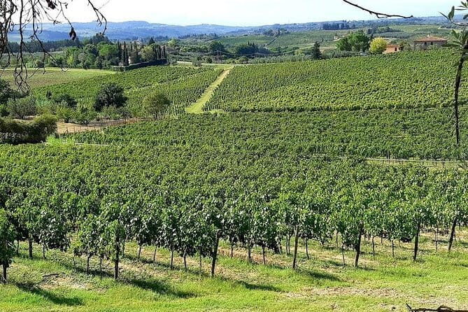 Private Tour: "FRANCIGENA WAY" in Chianti with Lunch & 2 Wine-tastings - FAQ