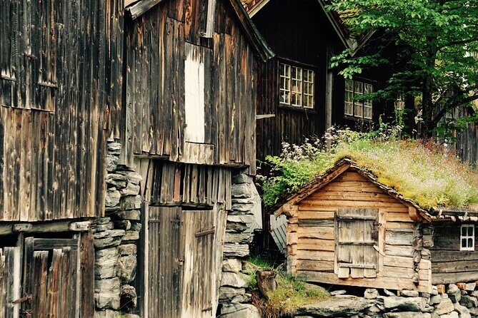 Private tour from Ålesund to Geiranger up to 15 people - An In-Depth Look at the Experience