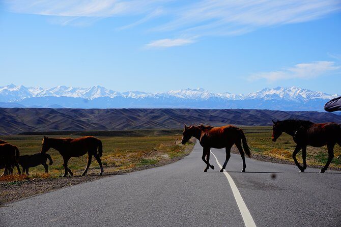 Private tour from Almaty 1 day Charyn canyon on comfortable SUV - Additional Information