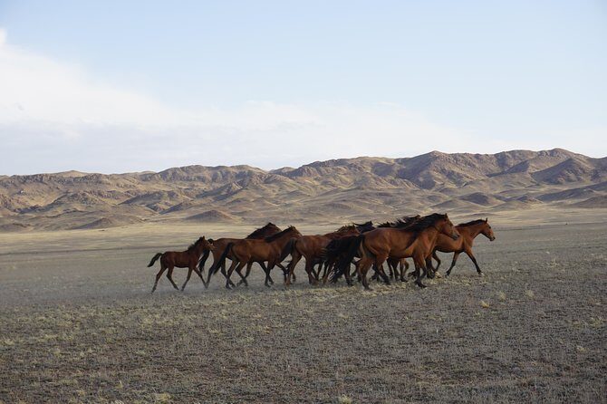 Private tour from Almaty 3 days Altyn emel /Charyn /Kolsay/Kaindy - The Full 3-Day Journey: What to Expect