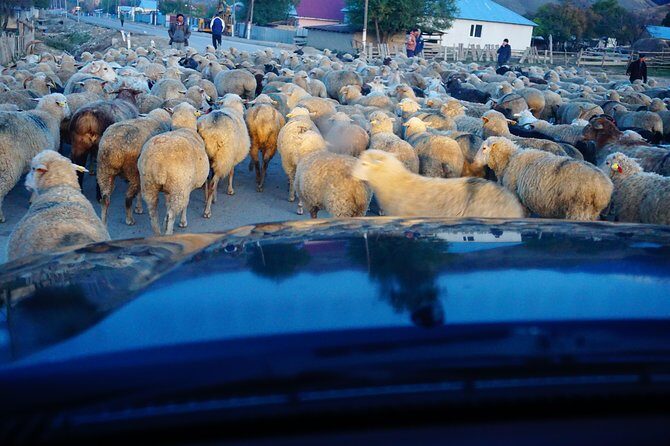 Private tour from Almaty 4 days in National parks all inclusive - The Value of This Tour