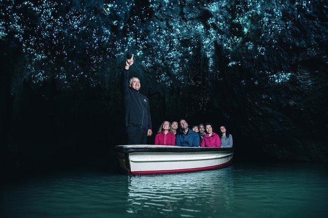 Private Tour From Auckland to Rotorua & Waitomo Glowworm Caves, Small group - What Travelers Say: Authentic Feedback