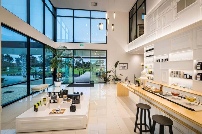 Private tour from Auckland - Waitomo Glowworm Caves, Zealong Tea & Kiwi Bird - Final Thoughts