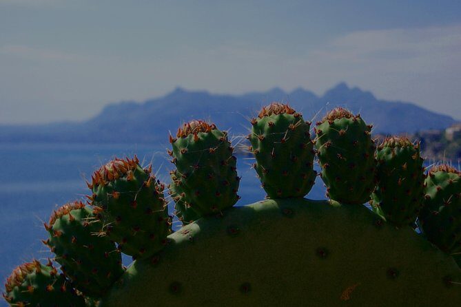 PRIVATE TOUR from Catania to Agrigento (Valley of Temple) and Piazza Armerina - Key Points