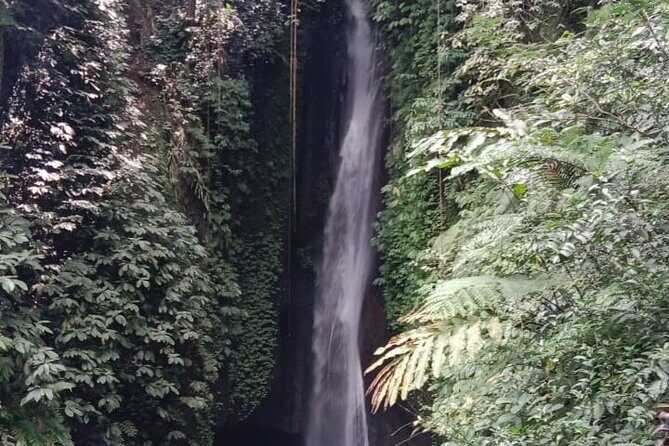 Private Tour from Leke-Leke Waterfall to Jatiluwih Rice Terrace - The Sum Up