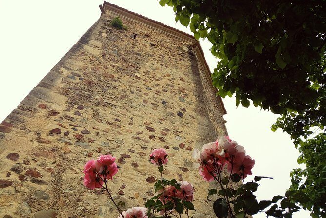 Private Tour from Lisbon: Knights Templar, Tomar (UNESCO Site) 9H - Return to Lisbon