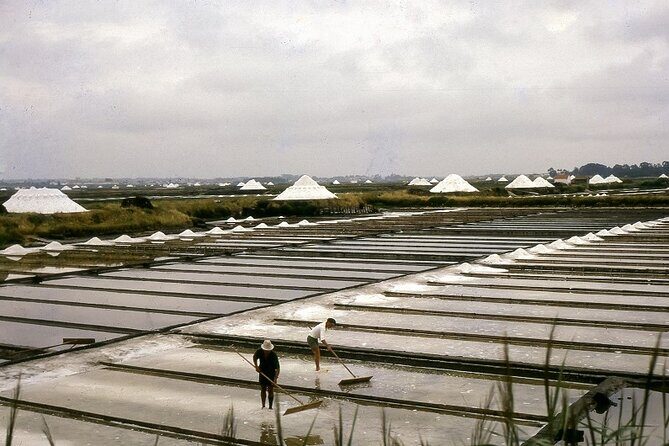 Private Tour: from Lisbon to Porto; visit to Óbidos, Fátima, Coimbra, Aveiro - A Deep Dive into the Journey: What to Expect