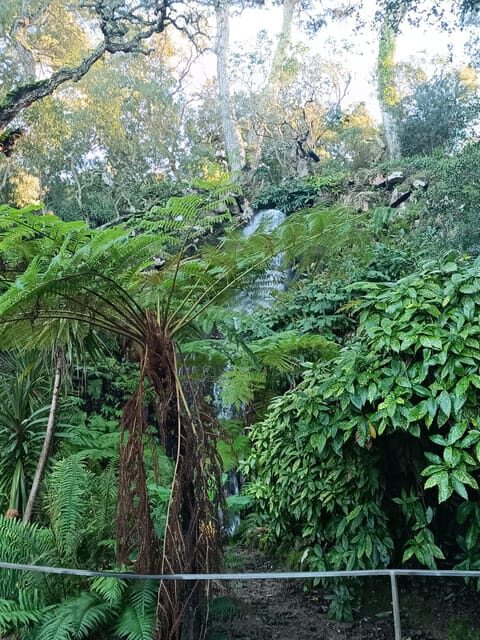 Private tour from Lisbon to Sintra, Pena palace, Regaleira - The Sum Up: Who Is This Tour Best For?