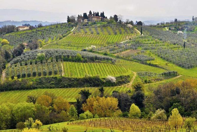 Private tour from Livorno port to Chianti Wine Region - Exploring the Itinerary in Detail