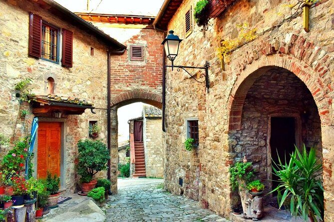 Private tour from Livorno port to Chianti Wine Region - Practical Considerations
