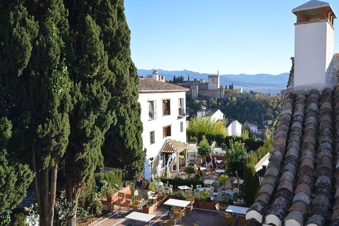 Private tour from Malaga to the Alhambra Palace and Granada for up to 8 persons - Practical Details & Tips