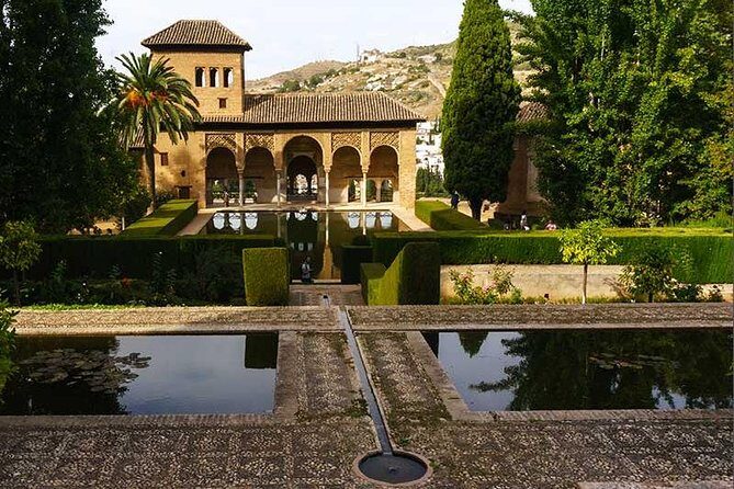 Private tour from Malaga to the Alhambra Palace and Granada for up to 8 persons - Who Is This Tour Best For?
