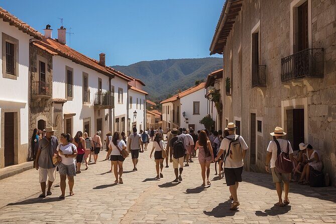 Private tour from Porto to Duoro Valley (Peso da Regua & Pinhao) - The Itinerary in Detail: What to Expect