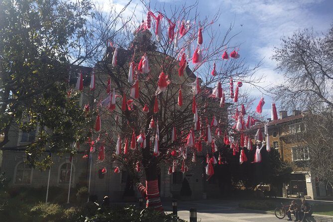 Private Tour from Sofia to Plovdiv - The Journey: What to Expect on the Tour