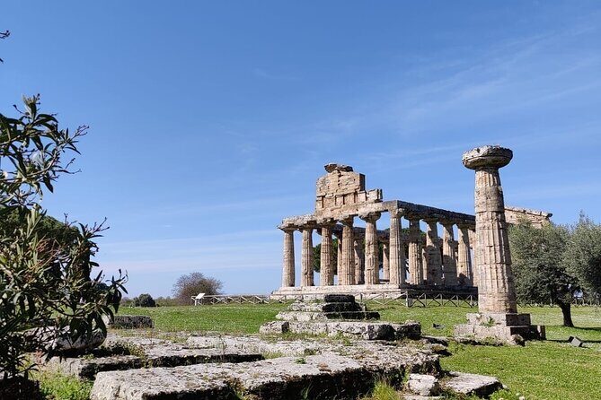 Private Tour from Sorrento/Positano to Paestum and Mozzarella tour - An In-Depth Look at the Experience