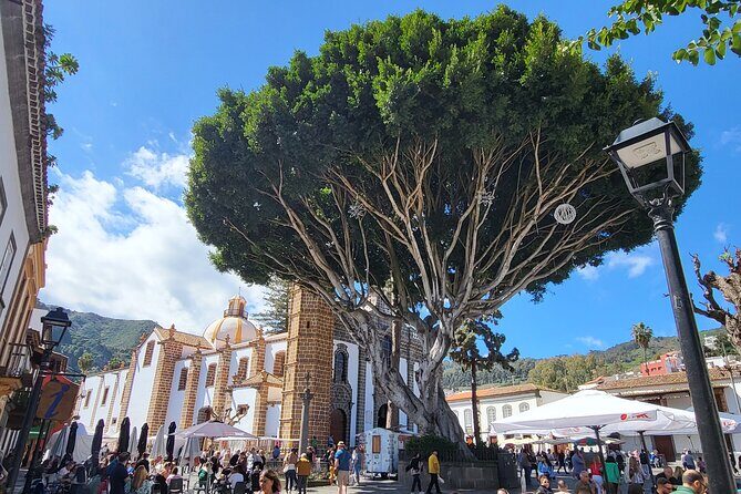 Private Tour from the Port of Las Palmas to Teror Firgas Arucas - The Sum Up