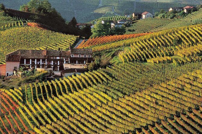 Private tour from Turin: Full day Langhe Region with its Colors and Flavors - Stop 2: A Light Lunch with a View